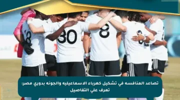 تصاعد المنافسة في تشكيل كهرباء الإسماعيلية والجونة بدوري مصر: تعرف على التفاصيل